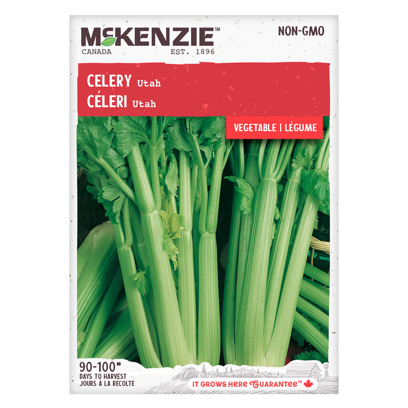 Celery Seeds, Utah McKenzie Seeds
