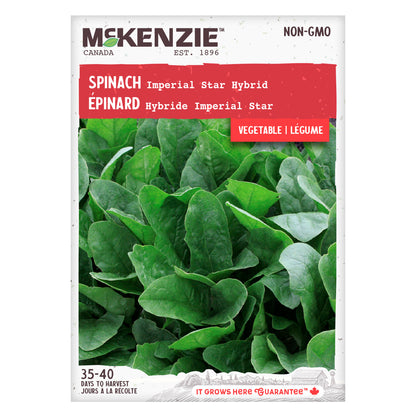 Spinach Seeds, Imperial Star Hybrid