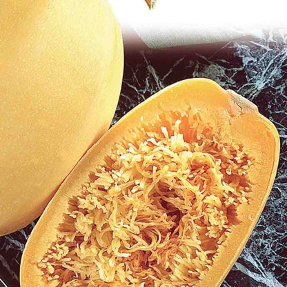 planting seeds from spaghetti squash Squash Seeds, Vegetable Spaghetti Pasta