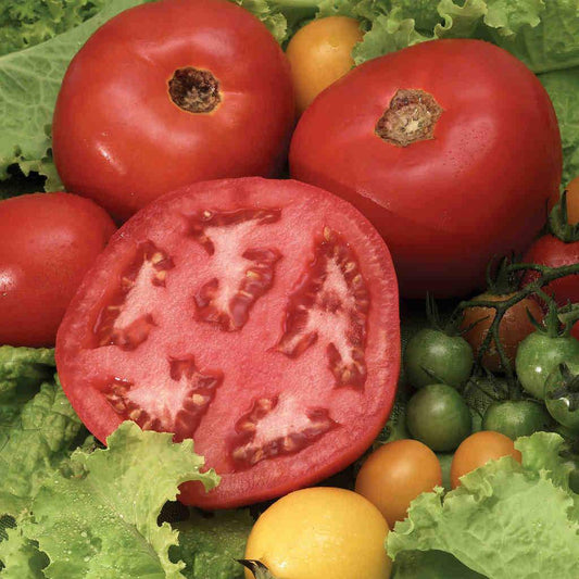 Tomato Beefsteak