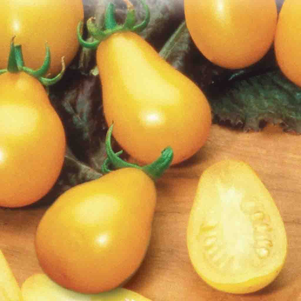 Tomato Yellow Pearshaped