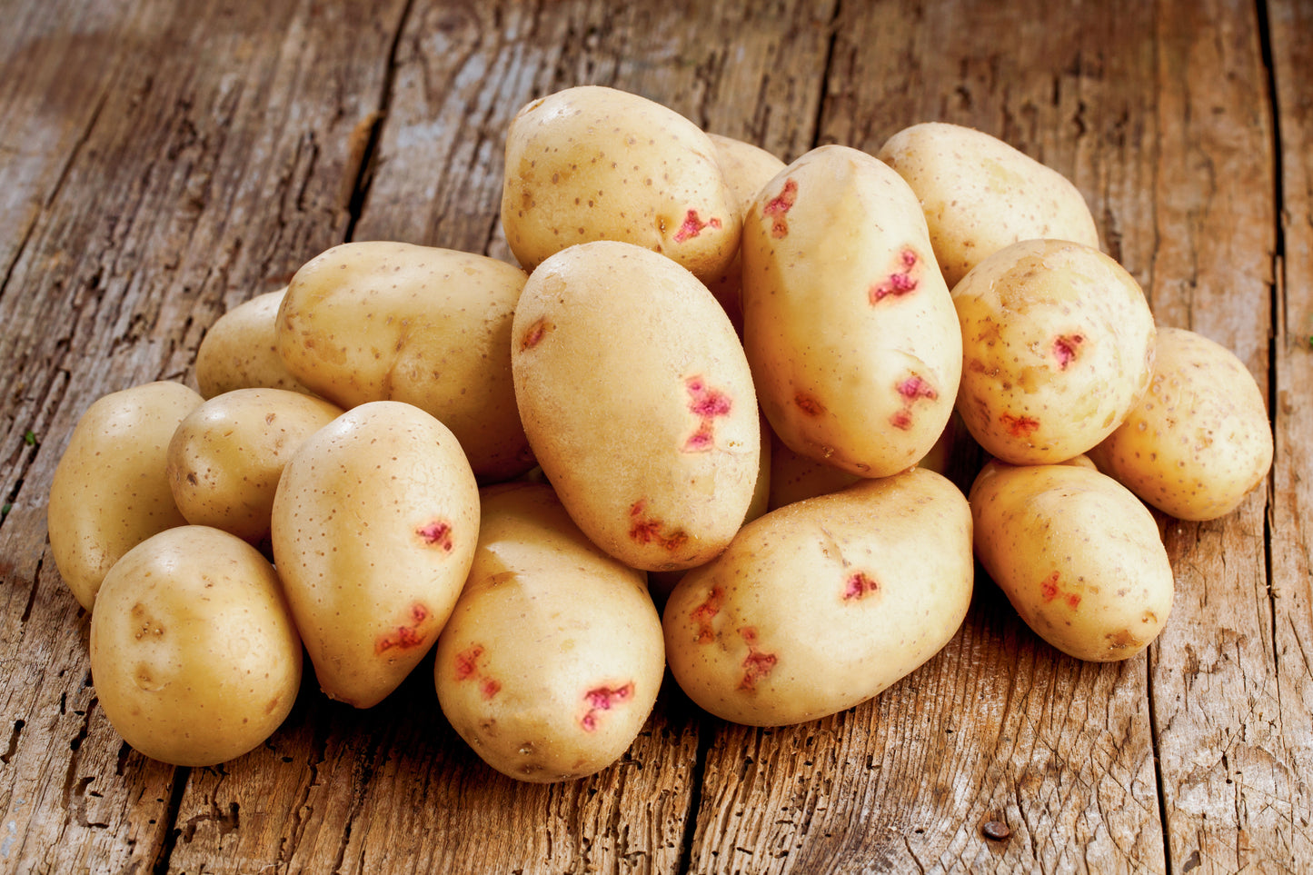 Seed Potatoes, Warba