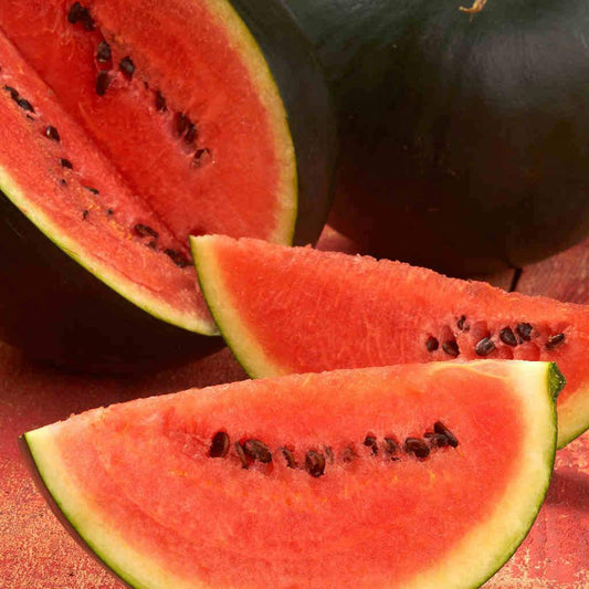 Watermelon Sugar Baby