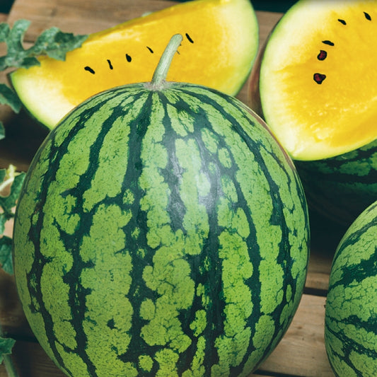 An image showing a whole watermelon with green striped outer surface and a cut piece revealing the golden-yellow flesh inside.