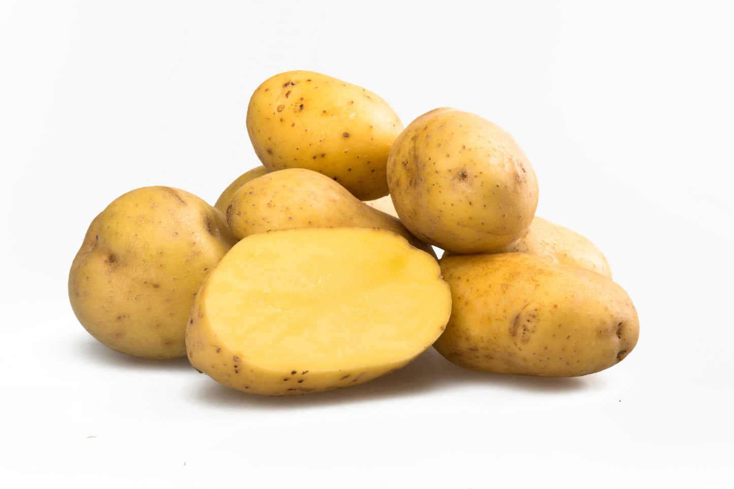 Seed Potatoes, Yukon Gold