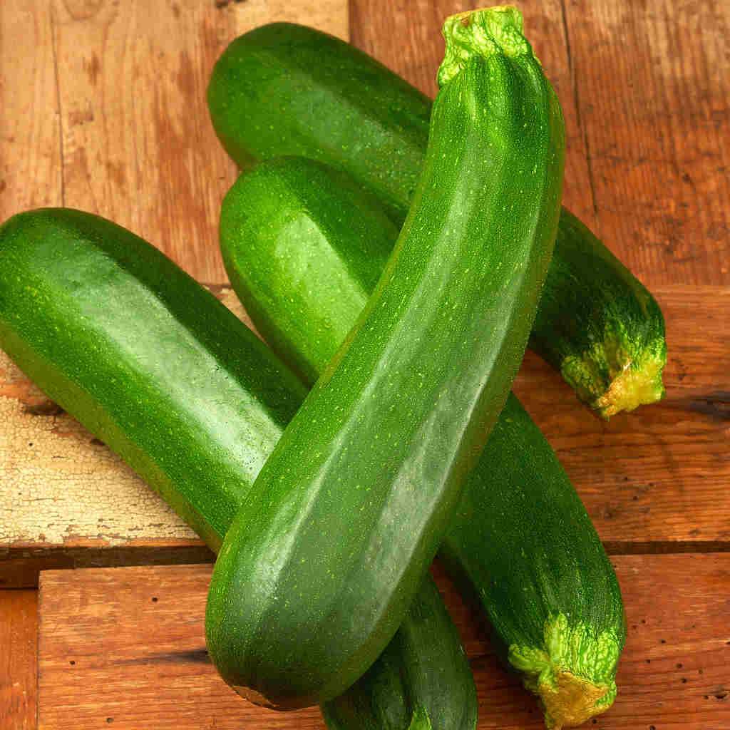 Zucchini Dark Green