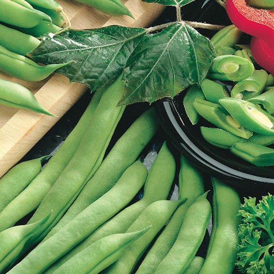 A selection of McKenzie Seeds Green Bean Tendergreen Improved (Bush) Organic