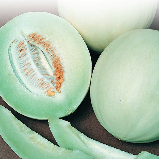 An image showing honeydew melons with green flesh. One melon is cut open to reveal the seeds and flesh inside, while whole melons are visible in the background.